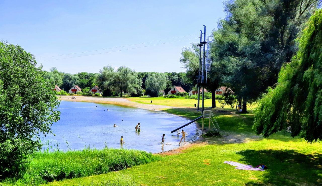 Heerlijke Vakantiewoning Ewijk Villa Екстериор снимка